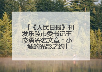 《人民日报》刊发乐陵市委书记王晓勇署名文章：小城的光影之约
