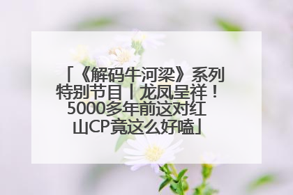 《解码牛河梁》系列特别节目丨龙凤呈祥！5000多年前这对红山CP竟这么好嗑
