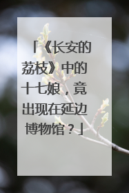 《长安的荔枝》中的十七娘，竟出现在延边博物馆？