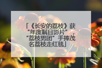 《长安的荔枝》获“年度瞩目影片”，“荔枝男团”手捧茂名荔枝走红毯