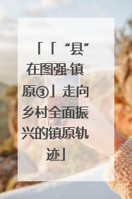 「“县”在图强·镇原③」走向乡村全面振兴的镇原轨迹
