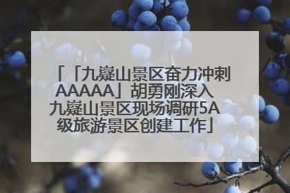 「九嶷山景区奋力冲刺AAAAA」胡勇刚深入九嶷山景区现场调研5A级旅游景区创建工作