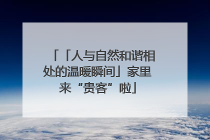「人与自然和谐相处的温暖瞬间」家里来“贵客”啦