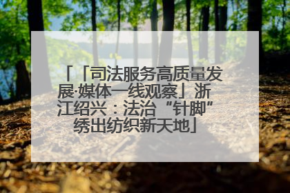 「司法服务高质量发展·媒体一线观察」浙江绍兴：法治“针脚”绣出纺织新天地