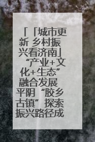 「城市更新 乡村振兴看济南」“产业+文化+生态”融合发展 平阴“胶乡古镇”探索振兴路径成效显著