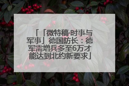 「微特稿·时事与军事」德国防长：德军需增兵多至6万才能达到北约新要求