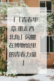 「青春华章·重走西北角」闪耀在博物馆里的青春力量