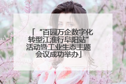 “百园万企数字化转型江淮行阜阳站”活动暨工业生态主题会议成功举办