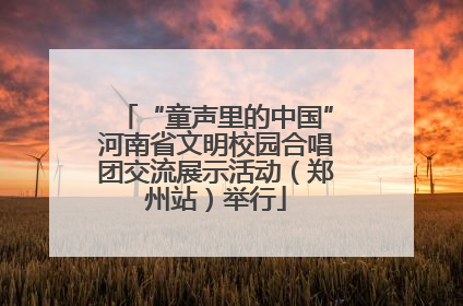 “童声里的中国”河南省文明校园合唱团交流展示活动（郑州站）举行