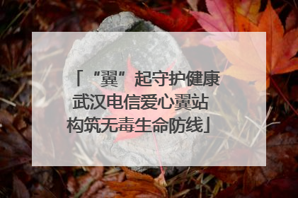 “翼”起守护健康 武汉电信爱心翼站构筑无毒生命防线