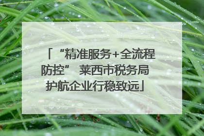 “精准服务+全流程防控” 莱西市税务局护航企业行稳致远
