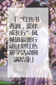 “红色书香润，爱伴成长行”凤城镇福蕾行动计划红色研学活动圆满结束