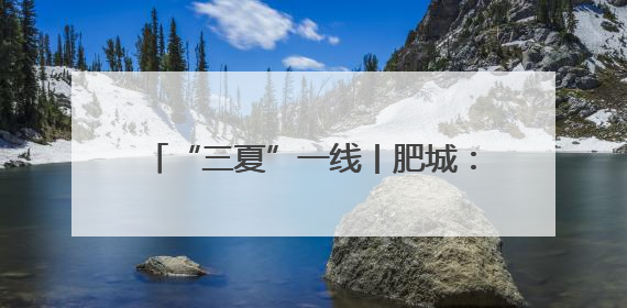 “三夏”一线丨肥城：探索“菌果蔬”轮作模式 助力农民增收致富