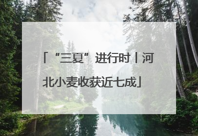 “三夏”进行时丨河北小麦收获近七成