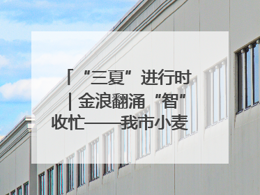 “三夏”进行时｜金浪翻涌“智”收忙——我市小麦开镰收割见闻