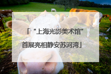 “上海光影美术馆”首展亮相静安苏河湾