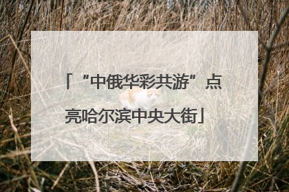 “中俄华彩共游”点亮哈尔滨中央大街