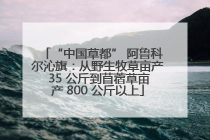 “中国草都” 阿鲁科尔沁旗：从野生牧草亩产 35 公斤到苜蓿草亩产 800 公斤以上