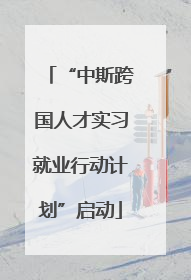 “中斯跨国人才实习就业行动计划”启动