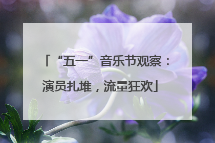 “五一”音乐节观察：演员扎堆，流量狂欢