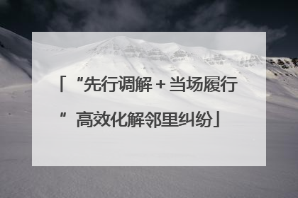 “先行调解＋当场履行”高效化解邻里纠纷