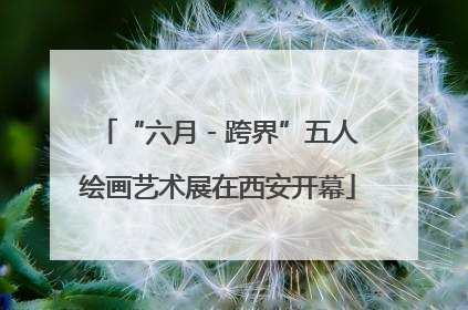 “六月 - 跨界”五人绘画艺术展在西安开幕