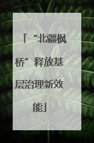 “北疆枫桥”释放基层治理新效能
