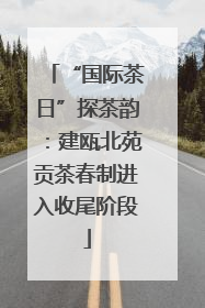“国际茶日”探茶韵：建瓯北苑贡茶春制进入收尾阶段