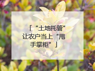 “土地托管”让农户当上“甩手掌柜”