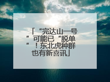 “完达山一号”可能已“脱单”！东北虎种群也有新喜讯