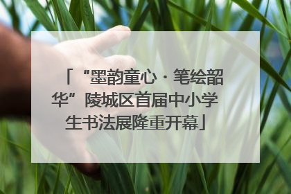 “墨韵童心・笔绘韶华”陵城区首届中小学生书法展隆重开幕