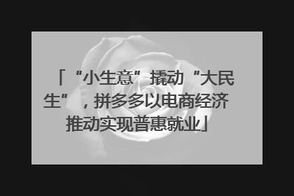 “小生意”撬动“大民生”，拼多多以电商经济推动实现普惠就业