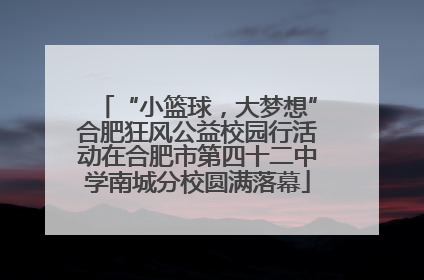“小篮球，大梦想”合肥狂风公益校园行活动在合肥市第四十二中学南城分校圆满落幕