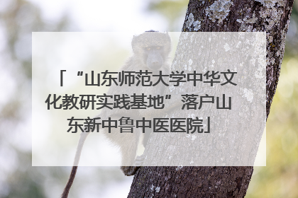 “山东师范大学中华文化教研实践基地”落户山东新中鲁中医医院
