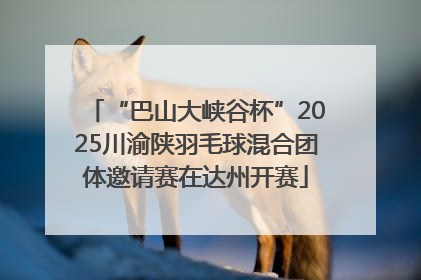 “巴山大峡谷杯”2025川渝陕羽毛球混合团体邀请赛在达州开赛