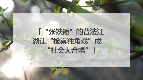 “张铁锤”的普法江湖让“检察独角戏”成“社会大合唱”