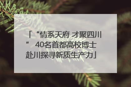 “情系天府 才聚四川” 40名首都高校博士赴川探寻新质生产力