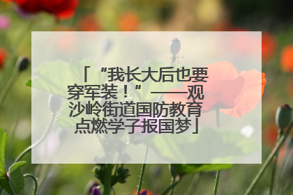 “我长大后也要穿军装！”——观沙岭街道国防教育点燃学子报国梦