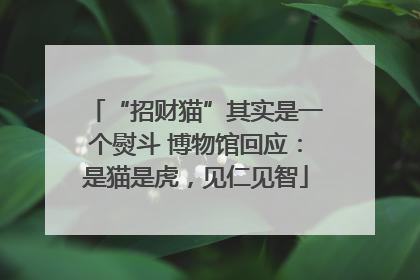 “招财猫”其实是一个熨斗 博物馆回应：是猫是虎，见仁见智