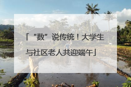 “数”说传统！大学生与社区老人共迎端午