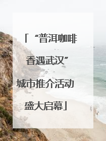 “普洱咖啡 香遇武汉”城市推介活动盛大启幕