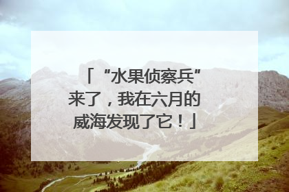 “水果侦察兵”来了，我在六月的威海发现了它！