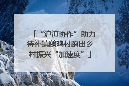 “沪滇协作”助力待补镇鹧鸡村跑出乡村振兴“加速度”