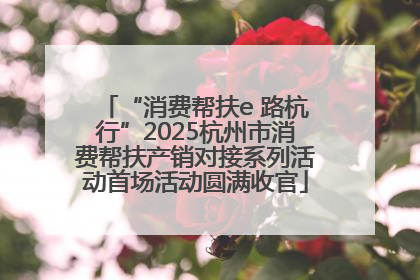 “消费帮扶e 路杭行”2025杭州市消费帮扶产销对接系列活动首场活动圆满收官