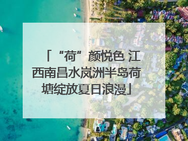 “荷”颜悦色 江西南昌水岚洲半岛荷塘绽放夏日浪漫