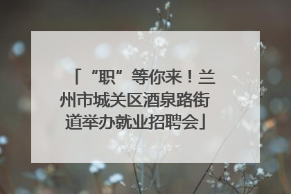 “职”等你来！兰州市城关区酒泉路街道举办就业招聘会