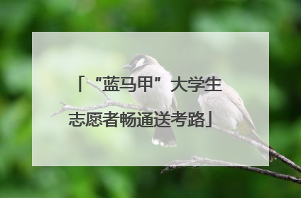 “蓝马甲”大学生志愿者畅通送考路