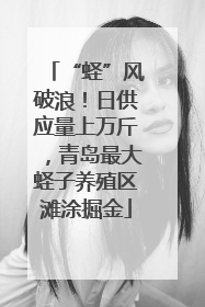 “蛏”风破浪！日供应量上万斤，青岛最大蛏子养殖区滩涂掘金