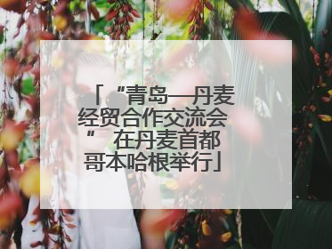 “青岛—丹麦经贸合作交流会” 在丹麦首都哥本哈根举行