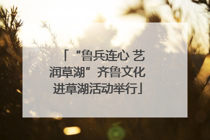 “鲁兵连心 艺润草湖”齐鲁文化进草湖活动举行